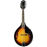 Washburn M1K-A Mandolin Kit With Gig Bag
