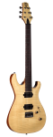 R1630FM Electric Teton W/Case