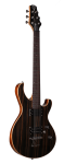 M1680EB Electric Teton W/Case