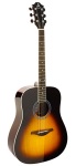 AS305TSB Hohner Guitar
