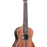 Penguin PGUK990C Classic Ebony Concert