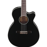 AEG10NII Ibanez AEG 10 Classical